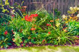 Muddy Boots - Plants & Puds