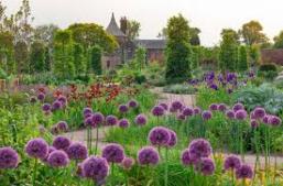Trip - RHS Bridgewater Gardens Salford