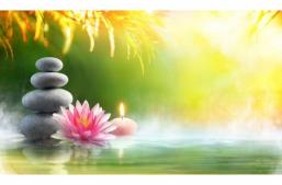 Mindfulness Meditation Group - Update